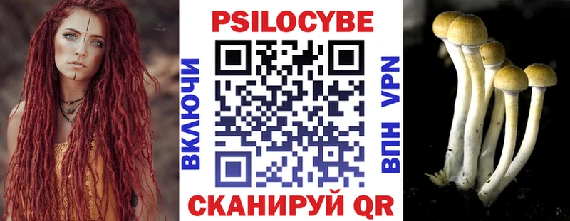 Галлюциногенные грибы Magic Shrooms  Купить закладки  Снежногорск 